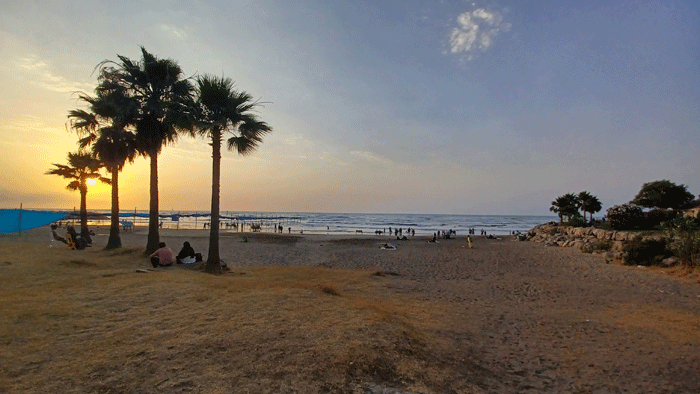 ساحل دریاکنار